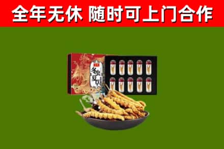 东丰回收冬虫夏草价格