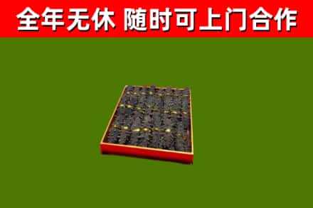 东丰回收海参